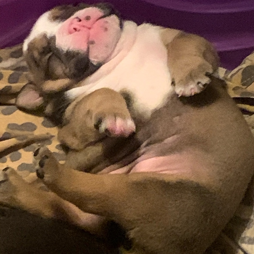 Meet your Posher, Zane